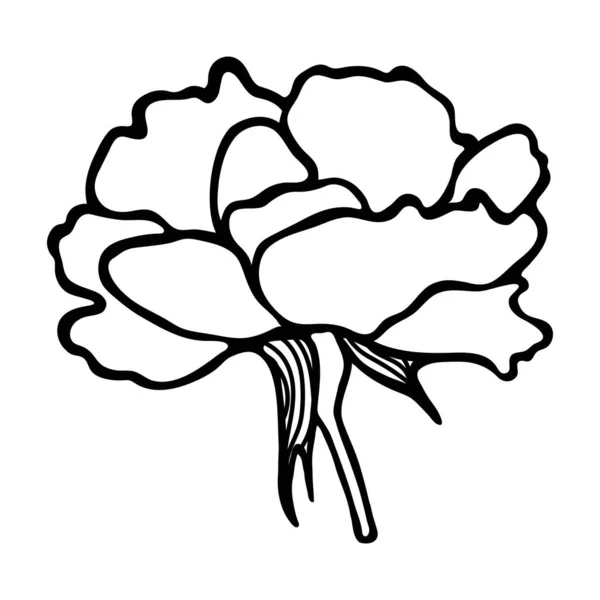 Ручной Рисунок Роз Силуэт Дудл Роуз Простой Ручной Рисунок Цветка — стоковый вектор