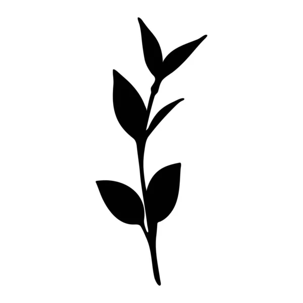 Schwarze Silhouette Eines Zweiges Mit Blättern Und Einem Stamm Der — Stockvektor