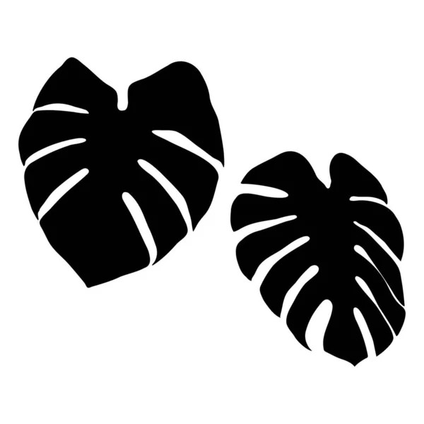 Silueta Negra Hojas Monstera Sobre Fondo Blanco Hojas Tropicales Vectoriales — Vector de stock