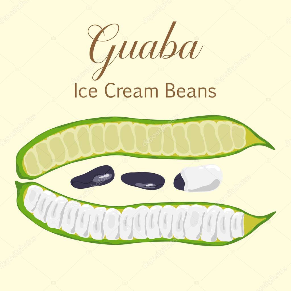 Frutas exóticas sudamericanas Guaba Ice Cream Beans o Inga Edulis ...
