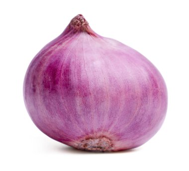 İzole soğan ya da soğan. Beyaz arka planda mor soğan bitkisi. kırpma yolu.