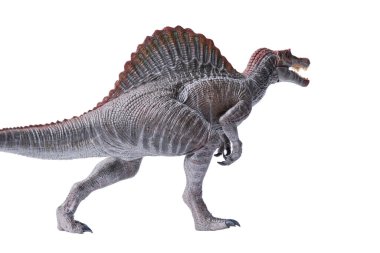 İzole edilmiş Spinosaurus dinozorları. Dinozorlar beyaz arka planda oynarlar. Spinosaurus gerçekten büyük bir dinozordu. Kesme yolu ile et yiyordu..
