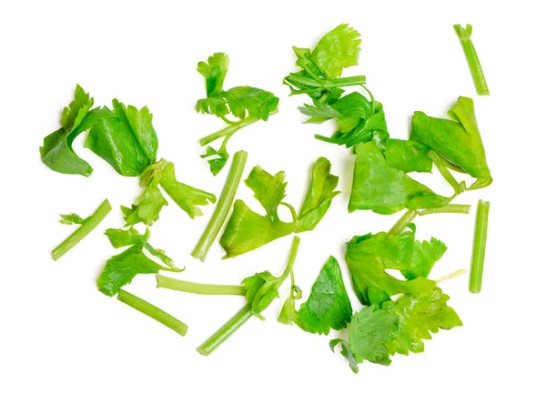 Isolated Coriander Fresh Top View Cut Coriander Water Drop White — Stock Photo, Image