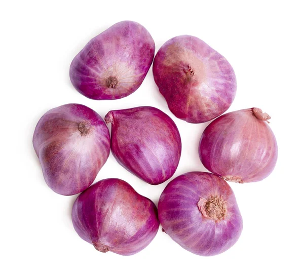 İzole soğan ya da soğan. Beyaz arka planda mor soğan bitkisi. kırpma yolu.