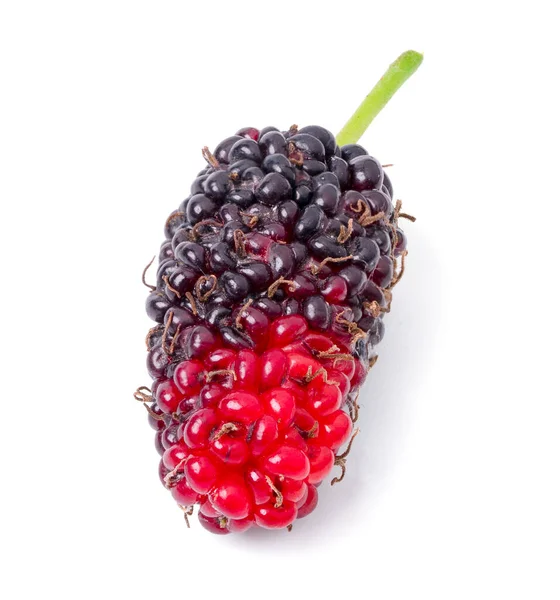 Mulberry Isolé Vue Dessus Fruits Mûrier Biologique Sur Fond Blanc — Photo