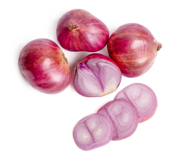 Isolated Onion Top View Fresh Purple Onion Shallot Cut Slices — Photo