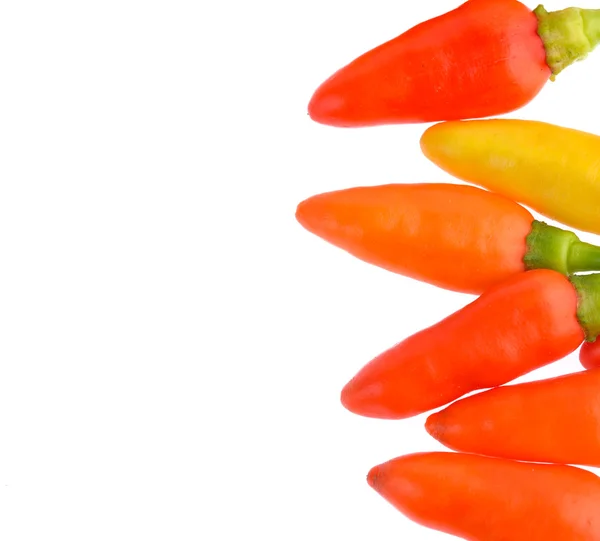 Hot chili peppers isolated on a white background — Stock Photo, Image