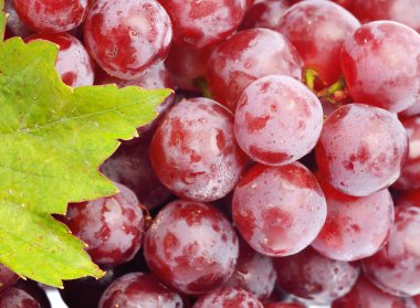 Kırmızı üzümler