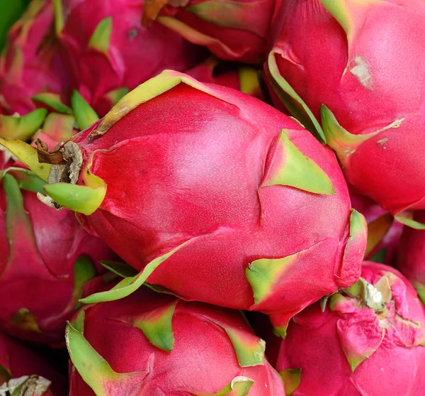 Drachenfrucht — Stockfoto