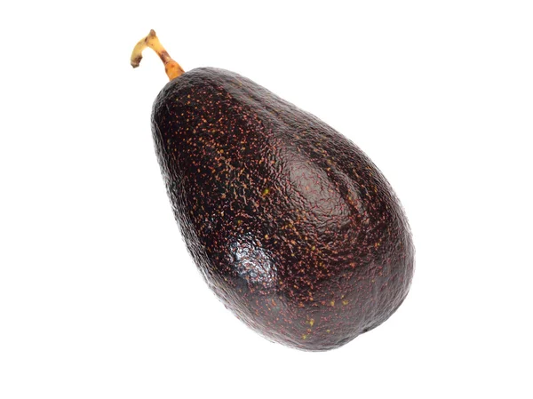 Avocadofrucht isoliert auf weißem Hintergrund — Stockfoto