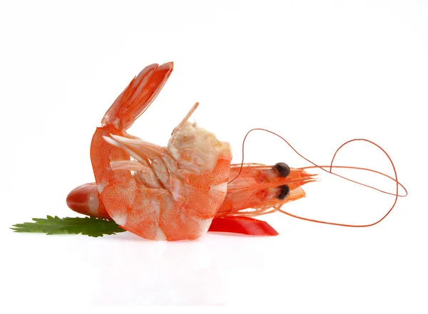 Fresh shrimp isolated on a white background — Stock Photo, Image