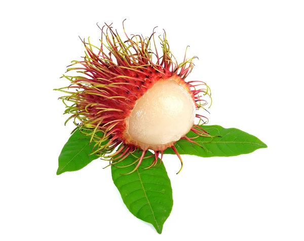 Rambutan con foglie isolate su sfondo bianco — Foto Stock