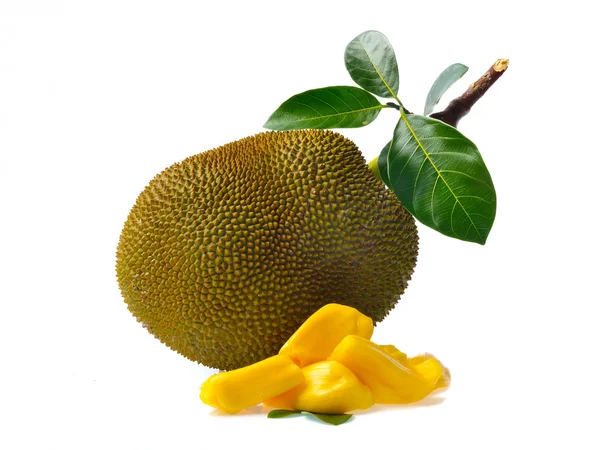 Jackfruit izolowane na białym tle — Zdjęcie stockowe