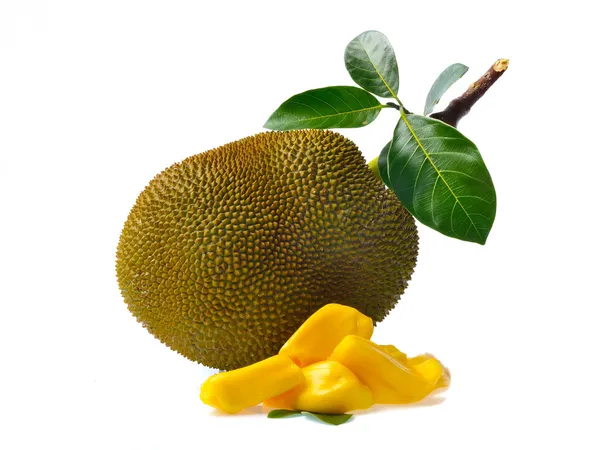 Beyaz arkaplanda Jackfruit izole
