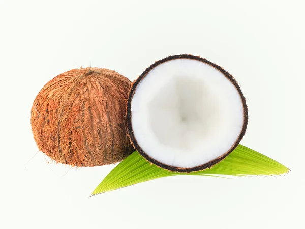 Coco com folhas isoladas sobre fundo branco — Fotografia de Stock