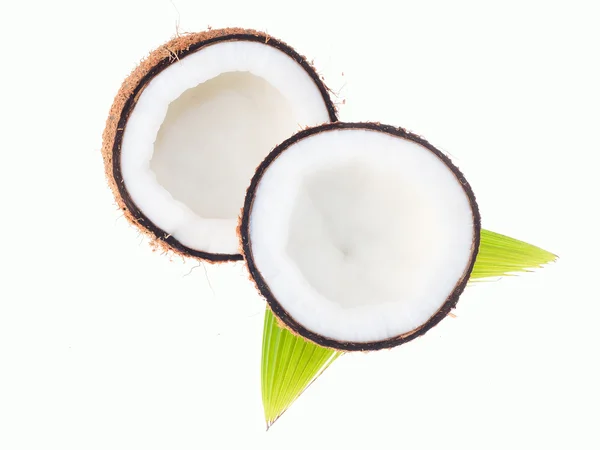 Coco com folhas isoladas sobre fundo branco — Fotografia de Stock