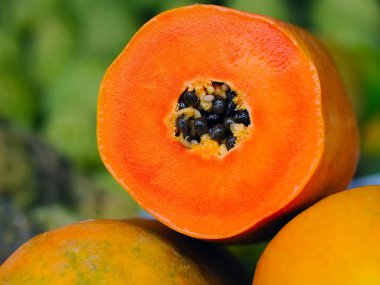 Papaya meyve