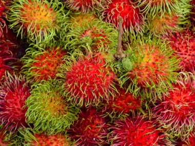 Asya meyve rambutan Tayland