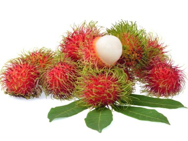 Rambutan beyaz zemin üzerine izole yaprakları ile