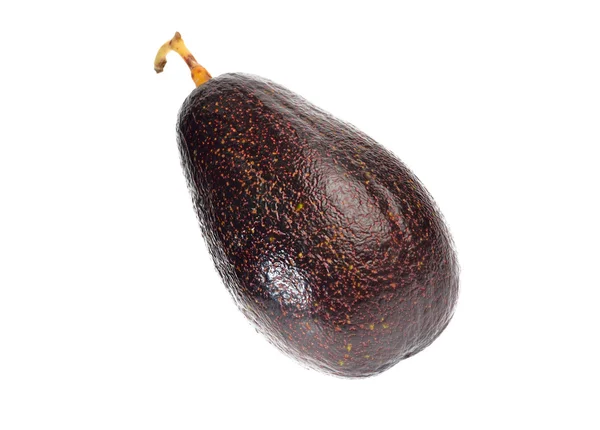 Avocado fruit isolated on a white background — Stock Photo, Image