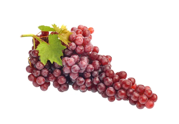 Red grape with leaf isolated on white background — Stock Photo, Image