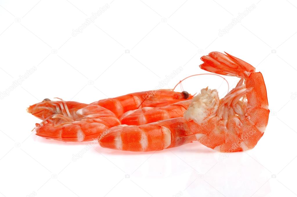 Fresh shrimp isolated on a white background