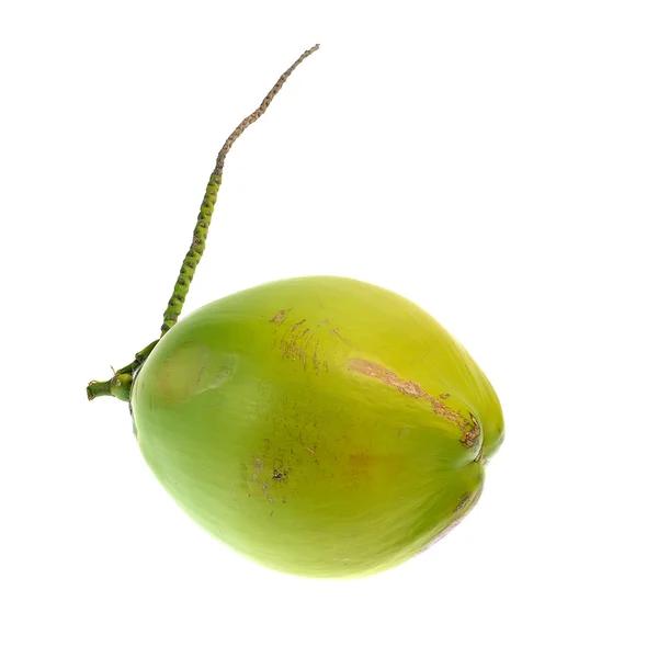 Green coconut isolated on white background — Stock Photo, Image