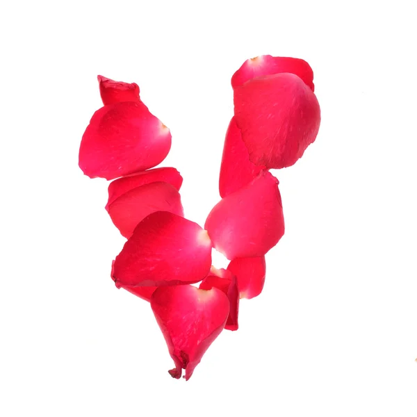 Consonant of rose petals isolated on white background — Stock Photo, Image