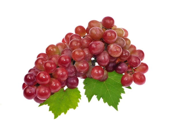 Uva roja con hoja aislada sobre fondo blanco — Foto de Stock