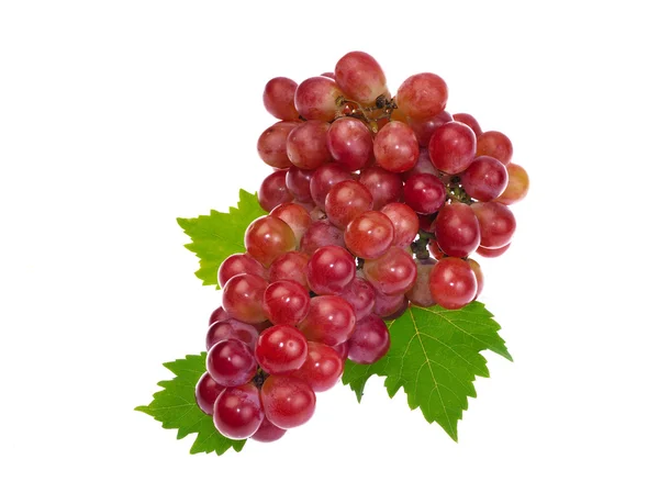 Anggur merah dengan daun terisolasi pada latar belakang putih — Stok Foto