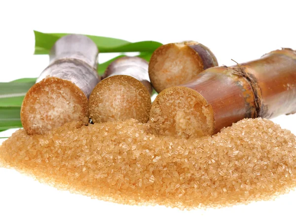 하얀 배경에 고립된 사탕수수 — 스톡 사진