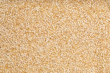 Tam kare stüdyo makro çekim, kinoa manzaralı.