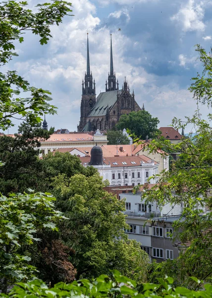 Aziz Peter Paul Katedrali Brno Arka Manzara — Stok fotoğraf
