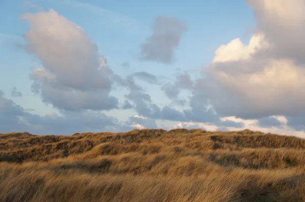 Gün batımında Dunes kask ile çimen