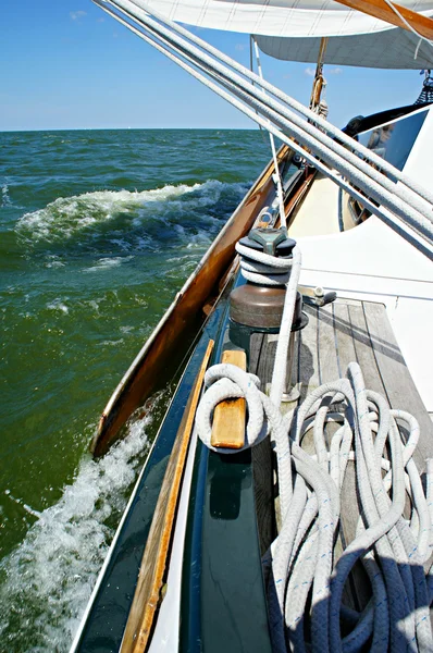 IJsselmeer üzerinde yelken geleneksel yelkenli gemi — Stok fotoğraf