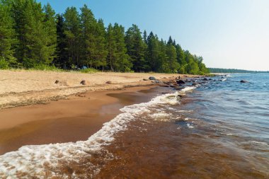 Ladoga Gölü kıyısında yaz manzarası. Vidlitsa. Karelya.