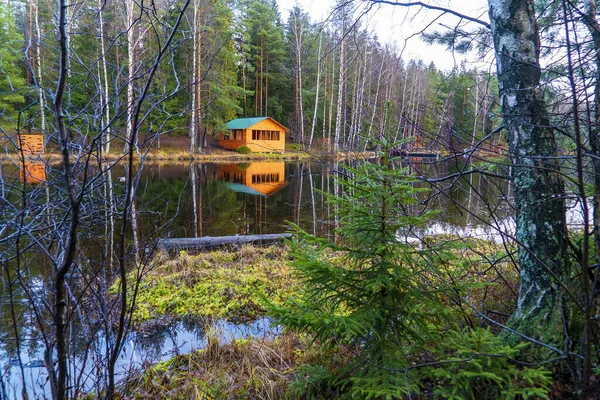 Podzimní Krajina Dlouhé Jezero Rumbolovském Lese Leningradská Oblast Vsevolozhsk — Stock fotografie