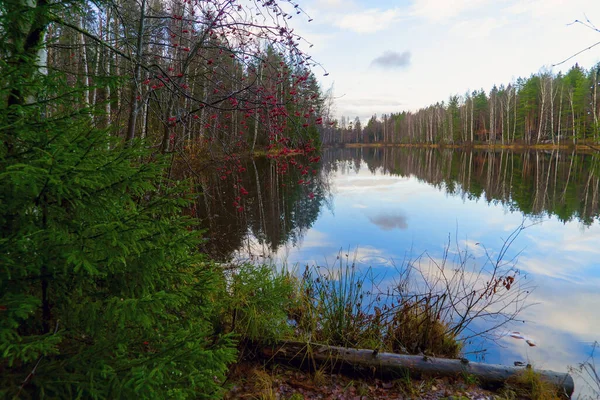 Podzimní Krajina Dlouhé Jezero Rumbolovském Lese Leningradská Oblast Vsevolozhsk — Stock fotografie