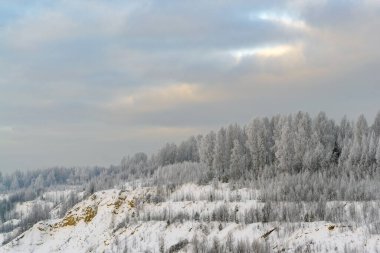 Karla kaplı ağaçlar ve ufukta karla kaplı bir orman..