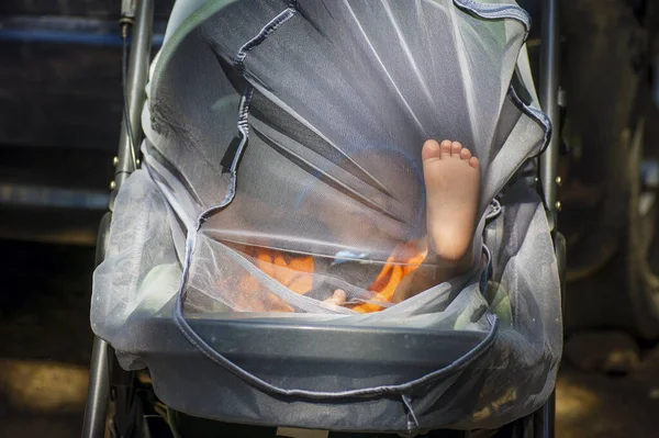 Bebeğin Ayağı Pusetteki Sivrisinek Ağına Dayanmıştı — Stok fotoğraf