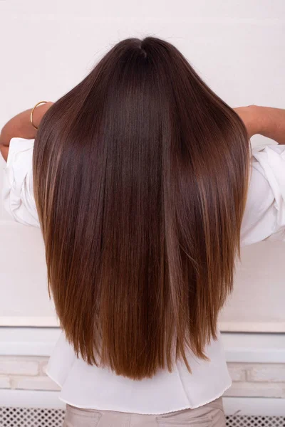 Weibliche Rücken Mit Langen Glatten Brünetten Haaren Friseursalon — Stockfoto