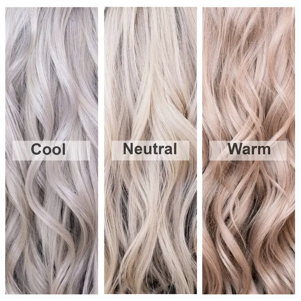 Ξανθό Διάγραμμα Μαλλιών Σετ Χρωμάτων Δείγματα Ψυχρού Ουδέτερου Και Ζεστού — Φωτογραφία Αρχείου