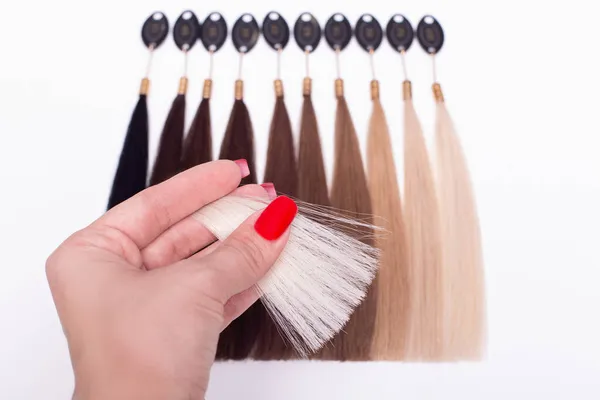Hair Base Color Palette Samples Chart Brunette Blonde White Background Stock Image