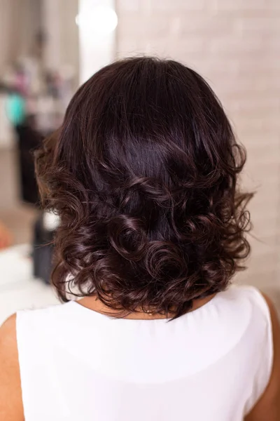 Female Back Short Curly Brunette Hair Hairdressing Salon — Stock Photo, Image