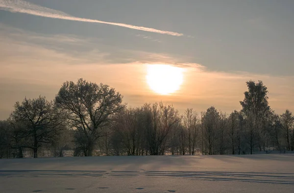 Doğa Güzel Kış Manzarası Karda Ağaçlar Dinlenmek Için Bir Şehir — Stok fotoğraf