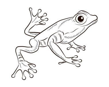 Frog. Black and white image. Coloring book for kids. Isolated, background.