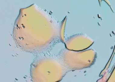 Parlak daireli soyut bir arka plan. Renkli bir görüntü, suyun üstünde yağ damlaları. Sıvı soyutlama. 