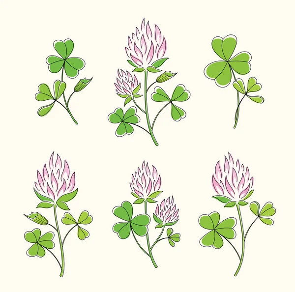Line art watercolor set of clover branches with leaves and pink flowers. Happy St. Patricks Day — Stockový vektor