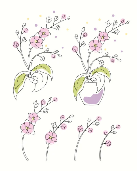 Ligne art aquarelle ensemble d'orchidée en pot, branches avec des fleurs et des fleurs — Image vectorielle