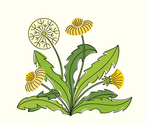 Line art watercolor illustration of dandelion bush with leaves, white and yellow flowers — Stock Vector